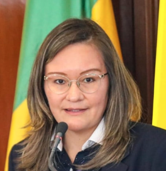 SIC sancionó a diez empresas por irregularidades durante el Black Friday 2024